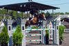 with Chris in tack successful at the prestigious horse show in Devon \"Where Champions Meet\".