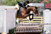 C\'est Si Bon performing with great confidence with master rider Jennifer on board at the early stage of the WEF circuit in Wellington 2011.