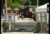 Avenue Blue at the HITS show July 2011 successful with Caroll Hoffman on board.