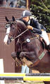 For Fun , by For Pleasure, is from Cumani\'s direct family line. He showed very successful in the open classes with Ilona.