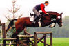  during his stallion performance test at the National Stud Neustadt / Dosse. He finished the test with high scores, what made him a class I stallion.