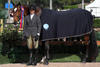 C\'est Si Bon and Jennifer Bauersachs earned numerous Champion titles from the very first start on American soil