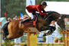 Quaprice du Bois Margot jumped successful at international Grand Prix level with Julien Epaillard in tack. (To watch Quaprice, please visit You Tube: QUAPRICE - GRAND PRIX LA BAULE 2008)