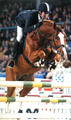 Couleur Rubin , sire of Cumani, shows successful at international level with world class rider Ludger Beerbaum aboard.