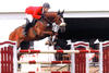Farlap during the 3* CSI at the international horse show at Lummen / Belgium; qualified for the 5* CSI one week later.