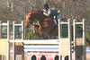 and Kim are able to tackle every course in the hunter ring.