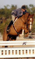  at his first WEF circuit with Jennifer Bauersachs, rewarded with the Champion title several times.
