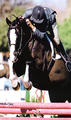 Capetown got his first mileage with master rider John French. They won at Devon, \"Where Champions Meet\" several high quality classes. Later Capetown continued very successful with Peter Pletcher. Now Capetown shows very successful in the Junior HUnter classes.