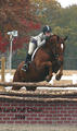  jumps over a number of years in perfect style and a very good ride ability.