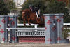 learned the hunter sport right out of the \"starting gate\" very good.