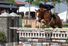 in the most suitable technique for a successful career in the hunter ring.