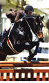 Coltrane with Missy Froley being always in the ribbons in the \"Junior Hunter\" classes.