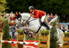 , by Clinton, showed at the Olympic Games 2008, multiple Nations Cup Winner, ridden by Marco Kutscher / Germany.