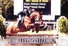 and Kimberly on their way to the champion ribbons.