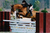 and Kim at their earlier stage in the hunter ring.