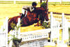 is very photogenic and jumps always in a consistent perfect from.