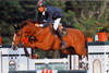 Cumani knows what to do in the jumper ring. She always jumps with a good technique, very scopey and really careful.