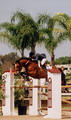and Amy Lefferdink in tack showed outrageous successful in the High Amateur classics and in the open classes.