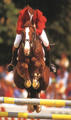 For Pleasure , by Furioso II - Grannus competed at two Olympic Games (Atlanta \'96; Sydney \'00) and won multiple international Grand Prix classes and innumerable Nations Cups.