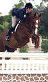 is very photogenic, he always jumps very careful and in perfect style.