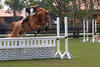 in training at home in the sunny southern Florida with Dee on board.