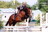 is still outstanding successful with several riders at Springhill Farm.