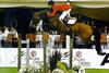 Quidam de Revel is the sire of Quaprice. He jumped outrageous successful at international level for more than a decade and produced international successful Offspring around the world.