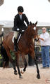 C\'est Si Bon everyone was pleased with the just finished excellent round at the WEF, the Palm Beach Winter Equestrian Festival 2011.