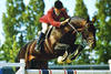 Narcos II , by Fair Play III - Tanael (Ibrahim) - Foudroyant II xx, jumped successful at international Grand Prix level.
