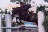 , here with Dee Thomas on board during his early stage in the hunter ring. They earned the Champion title during their first WEF circuit.

