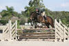 Sensation again in perfect style in the final round at the WEF circuit.