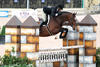 C\'est Si Bon always tries to jump in great form.