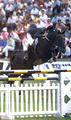 Narcos II at international Grand Prix classes. He produced more than 20 approved stallions and innumerable jumpers for the international open classes.