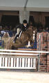  during the \"World Hunter Rider Week\" qualified for the finals. Maria Takacs and Mombo finished with absolutely good scores.