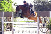 , by Dirano, got here very successful ring mileage in the German young jumper classes. With Jennifer Bauersachs aboard they won numerous \"Pre Green and First Year\" classes.