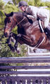 Sensation got her first mileage in the hunter ring with Dee on board. With Margret O\' Mera she had enormous success and finished numerous times with the \"Great Grand Hunter Champion\" ribbon.
