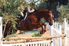 with Kimberly in tack often in the \"winners circle\".