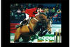 competed very successful at international level with Thomas Velin in tack. 