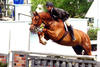 Landboy
inherited all the positive attributes from his ancestors, Landor S was the champion stallion and successful up to G. P. jumper classes. His dam sire Grasco is of equal importance. He also performed up to the Grand Prix classes.