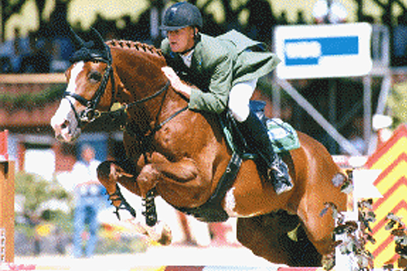 For Pleasure unter Markus Ehning 