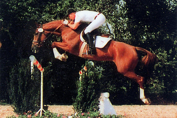 Almira ZFDP Auktion 89