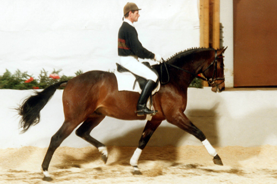 Credo unter Gerd Schonebeck